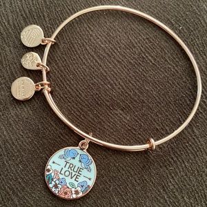 Mickey Mouse Icon - True Love